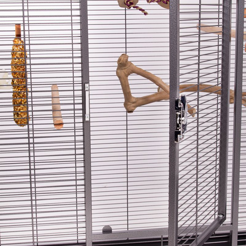 Voliere New Melbourne I